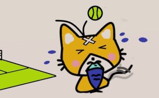 テニスボールに当たる猫