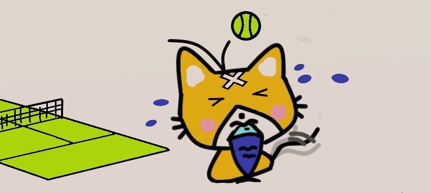 テニスボールに当たる猫